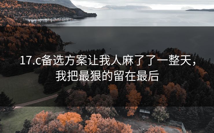 17.c备选方案让我人麻了了一整天，我把最狠的留在最后
