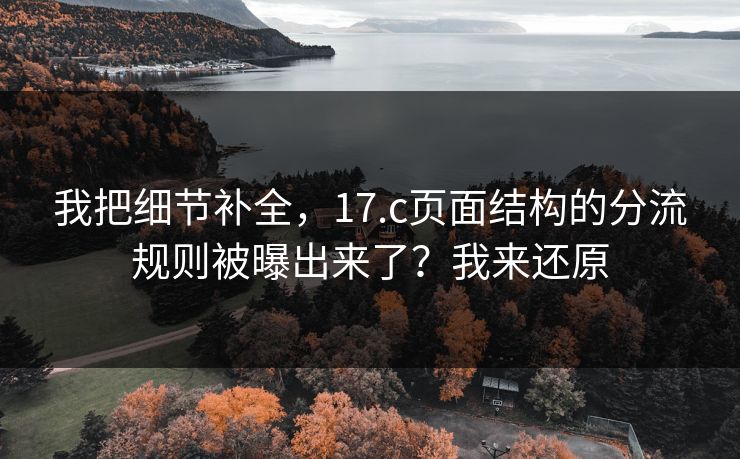 我把细节补全，17.c页面结构的分流规则被曝出来了？我来还原