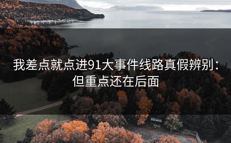 我差点就点进91大事件线路真假辨别：但重点还在后面