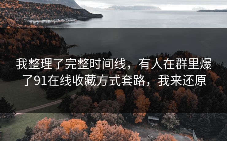 我整理了完整时间线，有人在群里爆了91在线收藏方式套路，我来还原