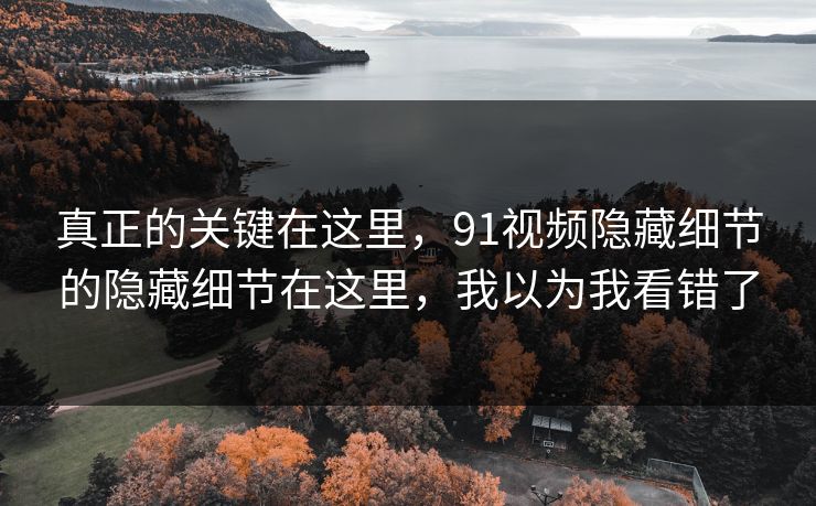 真正的关键在这里，91视频隐藏细节的隐藏细节在这里，我以为我看错了